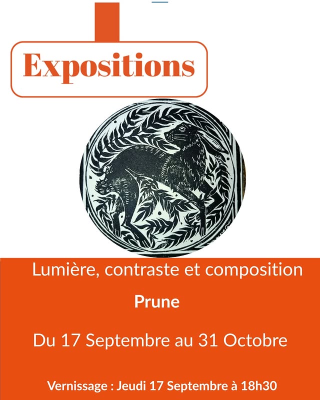 Lumière, contraste et composition — Prune