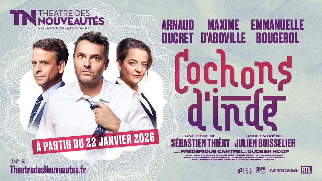 COCHONS D'INDE