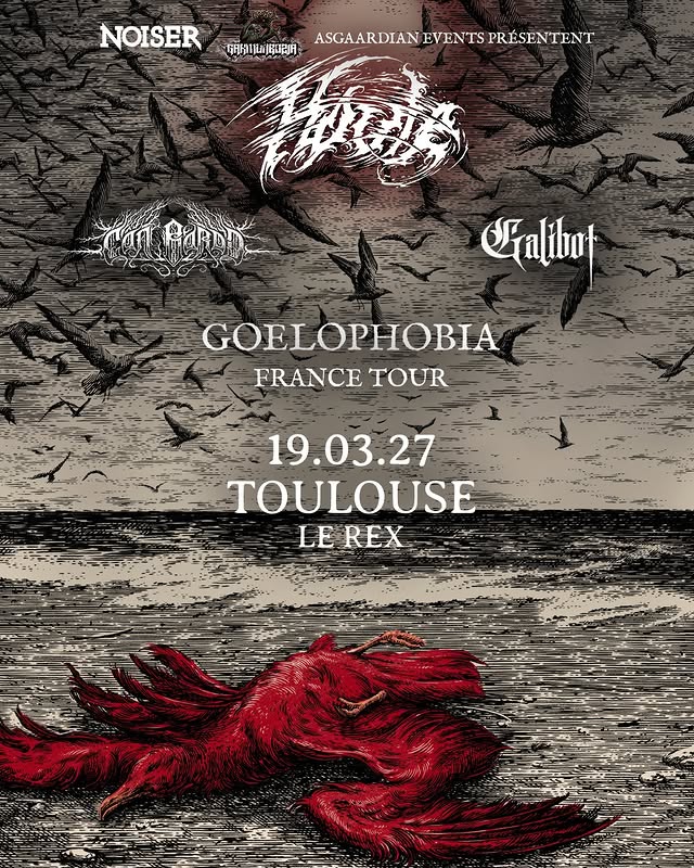 HOULE + CÂN BARDD + GALIBOT