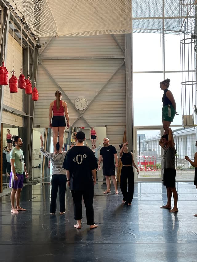 Atelier acrobatie (Below Zero)
