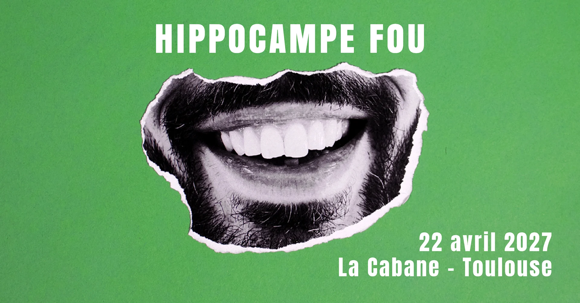 HIPPOCAMPE FOU à TOULOUSE